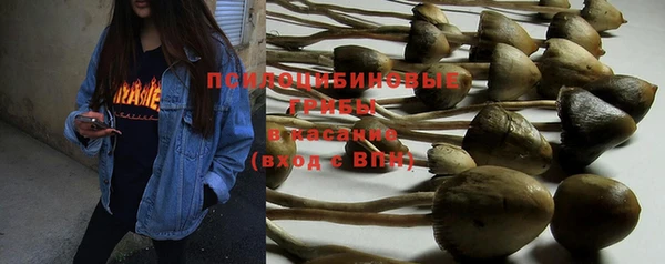 ПСИЛОЦИБИНОВЫЕ ГРИБЫ Михайлов