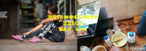 прущие грибы Надым