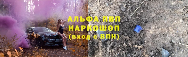 прущие грибы Надым