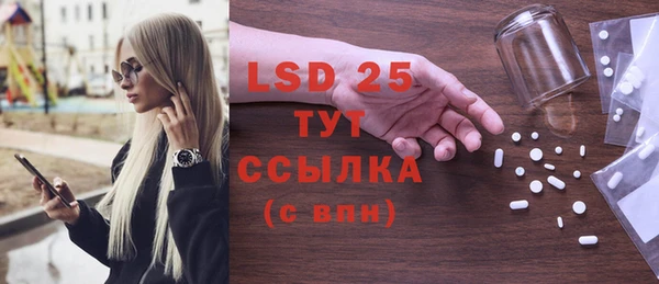 прущие грибы Надым
