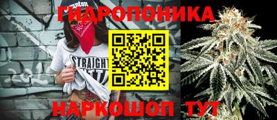 мдма Заводоуковск