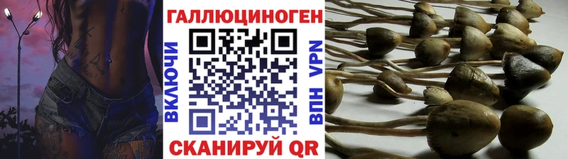 хочу   Избербаш  Галлюциногенные грибы Magic Shrooms 