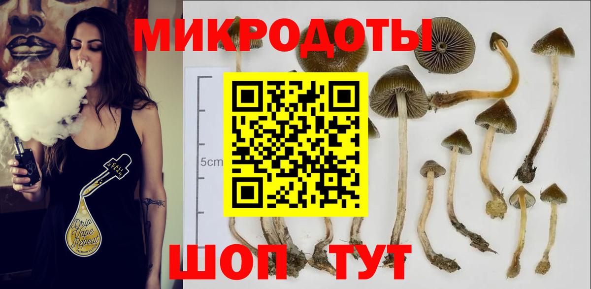Галлюциногенные грибы Cubensis  Вход с VPN  Избербаш  Галлюциногенные грибы Cubensis 