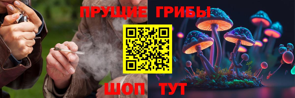 Галлюциногенные грибы мухоморы Избербаш