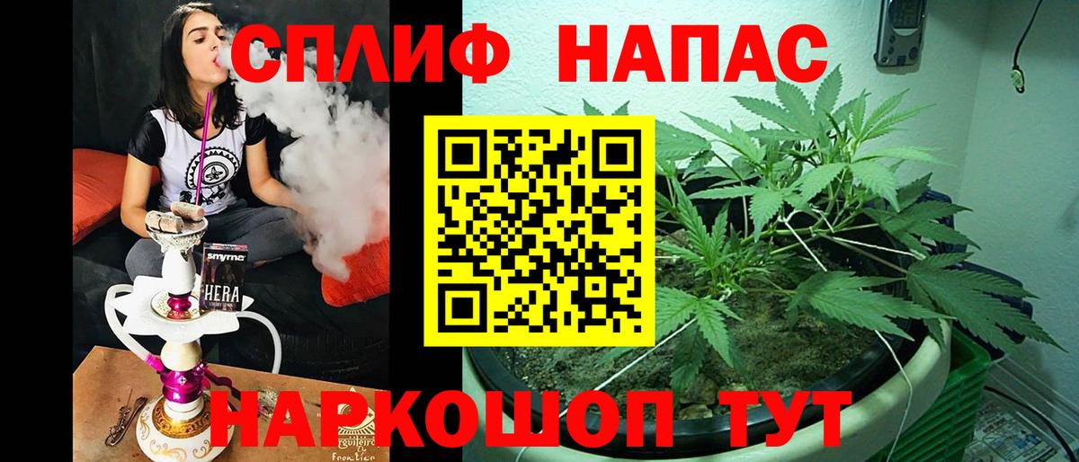 Конопля SATIVA & INDICA Избербаш